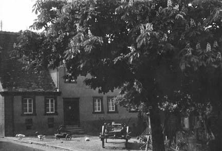 Dorf